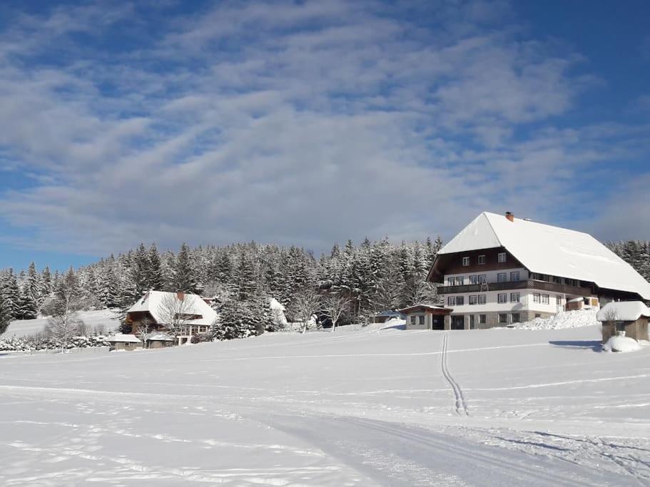 Haus Lucia, Mit Pool Und Sauna, Appartment 4 Schoenwald im Schwarzwald Exterior photo