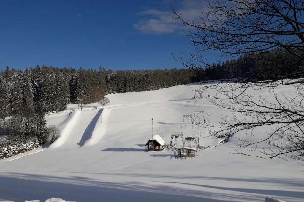 Haus Lucia, Mit Pool Und Sauna, Appartment 4 Schoenwald im Schwarzwald Exterior photo
